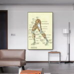 vintage bein anatomie poster