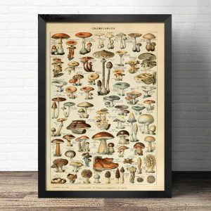 vintage pilz poster 1