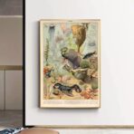poster meerestiere ozean vintage