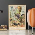 poster meerestiere ozean vintage