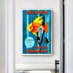 poster bassin darcachon vintage 1