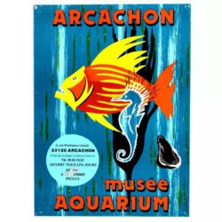poster bassin darcachon vintage 1