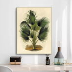 vintage botanisches poster palme