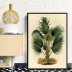 vintage botanisches poster palme
