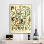 vintage botanisches poster