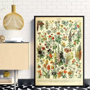 vintage botanisches poster