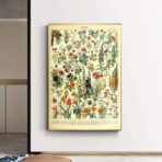 vintage botanisches poster