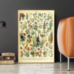 vintage botanisches poster