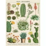 vintage kaktus poster