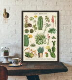vintage kaktus poster