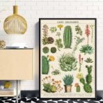 vintage kaktus poster