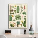 vintage kaktus poster