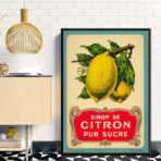 vintage zitronen poster