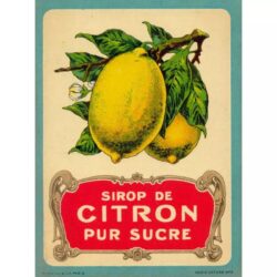 vintage zitronen poster