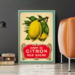 vintage zitronen poster