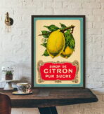 vintage zitronen poster