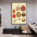 vintage muschel poster
