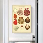 vintage muschel poster