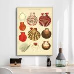 vintage muschel poster