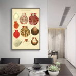 vintage muschel poster