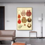 vintage muschel poster