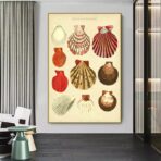 vintage muschel poster