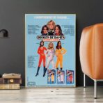 lustiges damen poster