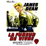 posterfilm the fureur de vivre