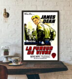 posterfilm the fureur de vivre