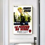 posterfilm the fureur de vivre