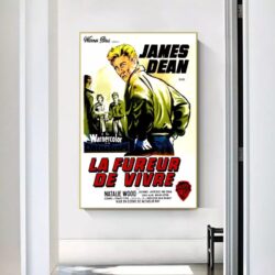 posterfilm the fureur de vivre