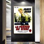 posterfilm the fureur de vivre