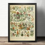 poster blumen vintage
