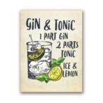 gin tonic poster