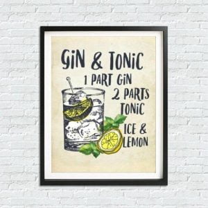 gin tonic poster