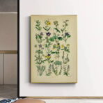 vintage herbarium poster 1