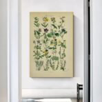 vintage herbarium poster 1