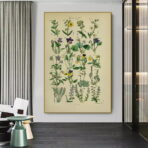 vintage herbarium poster 1