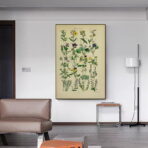 vintage herbarium poster 1
