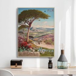 poster hyeres 1