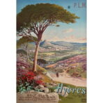 poster hyeres 1