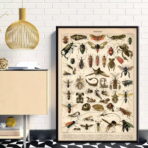 vintage insekten poster