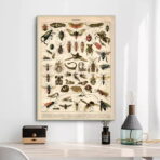 vintage insekten poster