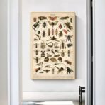 vintage insekten poster