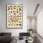 vintage insekten poster