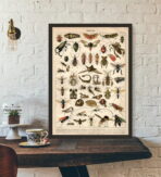 vintage insekten poster