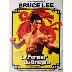 poster die furie des drachen