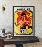 poster die furie des drachen