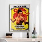 poster die furie des drachen