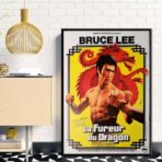 poster die furie des drachen